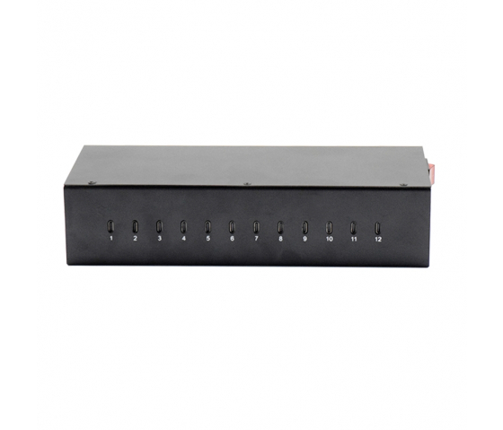 12 Ports USB-C 20W Lade-Hub - BRV12CCH